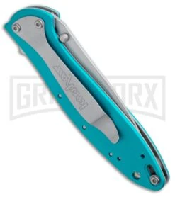 Kershaw Leek Teal Assisted Opening Knife - Bead Blast Plain -Kershaw Store Kershaw Leek 1660teal BHQ 22700 jr side large