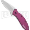 Kershaw Scallion Purple Aluminum Assisted Opening Knife - Bead Blast -Kershaw Store Kershaw Scallion purple bb BHQ 14804 er large